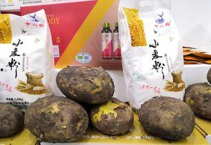 泰州网红小苹果,甜蜜爆表的甜蜜传奇