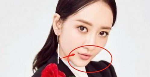 微笑唇明星,揭秘他们的魅力秘诀